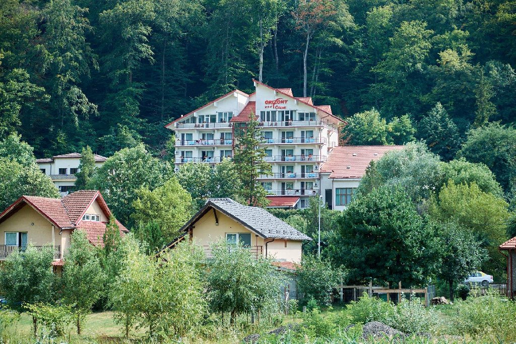 Hotel Orizont Cozia